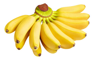 Baby bananas cut out © Yeti Studio
