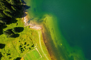 Summer landscape of Dospat dam in Rhodope mountains