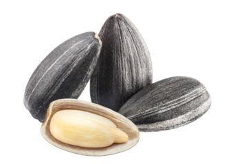 Delicious sunflower black seeds cut out