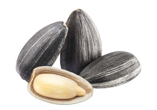 Delicious sunflower black seeds cut out