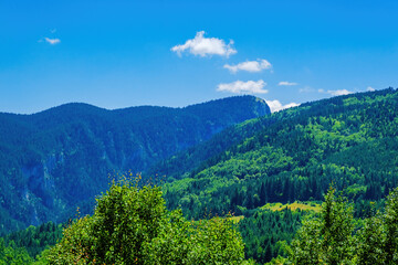 Summer landscape of green field with mountains and blue sky