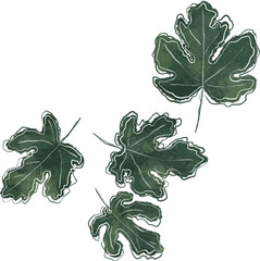 Fig leaves hand drawn illustration - 631327493