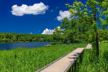 長野県・立科町 夏の女神湖の風景