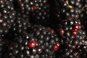 Wet tasty ripe blackberries as background ,closeup
