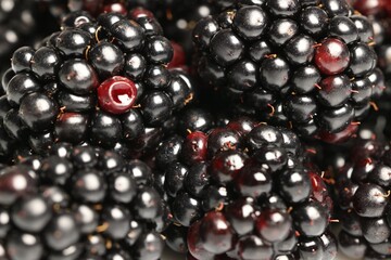 Many tasty ripe blackberries as background ,closeup