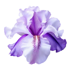  purple iris flower isolated on transparent background cutout © Papugrat