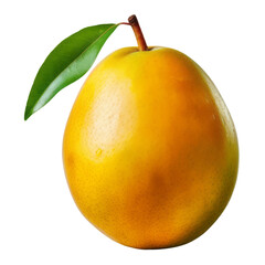 mango isolated on transparent background cutout