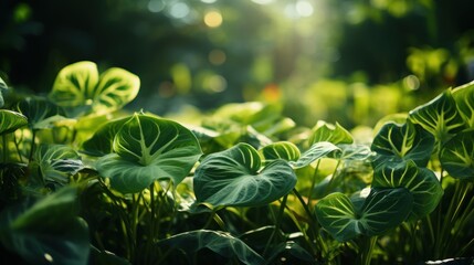 Verdant Wonderland: A Paradise of Exotic Green Leaves, generative ai