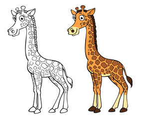 cartoon giraffe outline and coloring on a transparent background