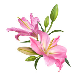 Pink lily flower bouquet isolated on transparent background - 631335436