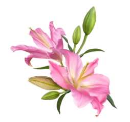 Gordijnen Pink lily flower bouquet isolated on transparent background © nunawwoofy