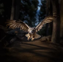 Tableau sur aluminium  A great horned owl flying towards camera  © Jaizel