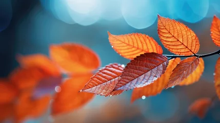 Fotobehang Colorful fall foliage, fallen autumn leaves. Generative AI © Jane Kelly