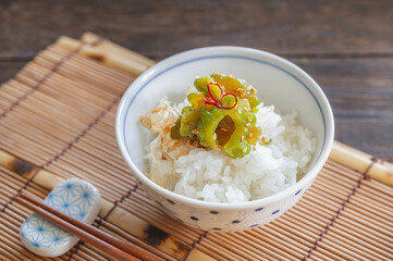 ご飯にのっけて食べるゴーヤの浅漬け