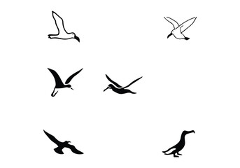 Albatross logo design illustration and white background