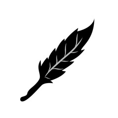 feather vector icon