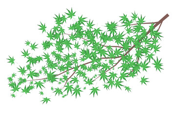 もみじ　葉　暑中見舞い　アイコン