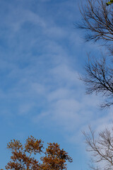 Winter skyline in South Africa for background use