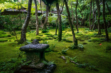 京都 祇王寺の鮮やかな緑の苔と芸術的な石灯籠