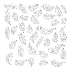 Black leaves Line art vector collection. Leaf outline illustration. Hand drawn decorative elements. Set of leaves. Botanical elements design