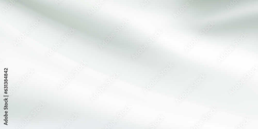 Poster gray white gradient empty studio room backdrop wallpaper abstract background blurred. use for showca