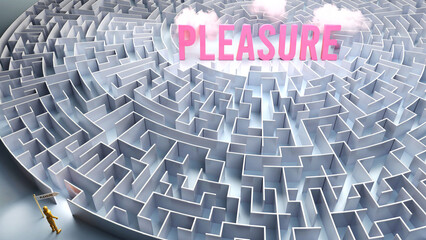 A journey to find Pleasure - going through a confusing maze of obstacles and difficulties to finally reach pleasure. A long and challenging path,3d illustration