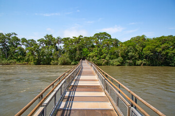 Iguazu falls - 631390042