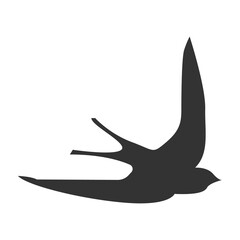 Vector illustration of bird icon in dark color and transparent background(png).