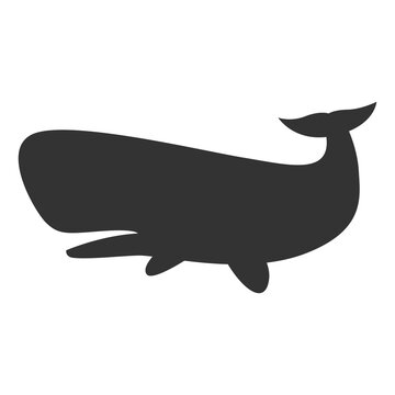 recommend clip art: Vector illustration of whale icon in dark color and transparent background(png).