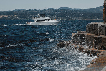 clock, steam clock, tree, city, tourists, building, flower, ocean, water, ship, wave, birds, peacock.