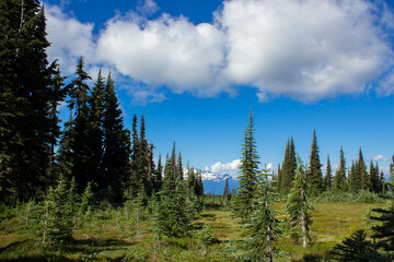 Mountain, lake, nature, forest, trees.