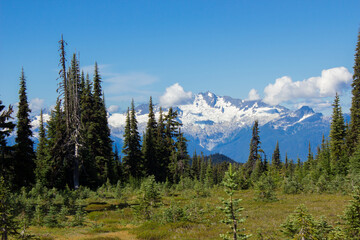 Mountain, lake, nature, forest, trees.