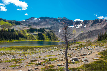 Mountain, lake, nature, forest, trees.