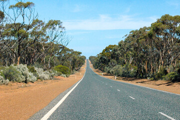 Outback along Coolgardie-Esperance Highway in Western Australia