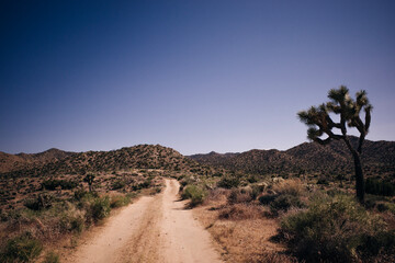 Joshua Tree National Park in California