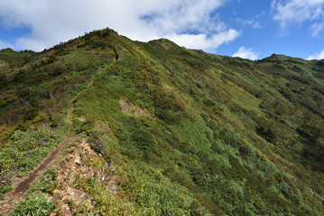 Fototapeta na wymiar Mount. Hotaka, Kawaba, Gunma, Japan