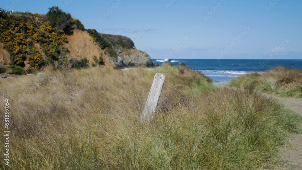 Poster Post in tall grass next to a beach on the north coast of california 