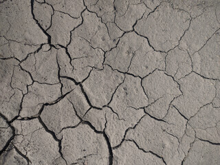 Dry cracked earth. Gray background with cracks.