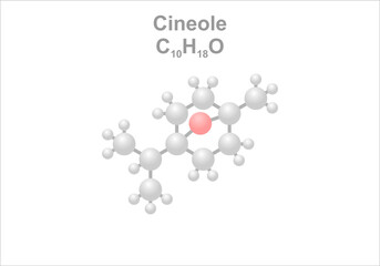 Cineole. Simplified scheme of the molecule. Use as flavoring agent.