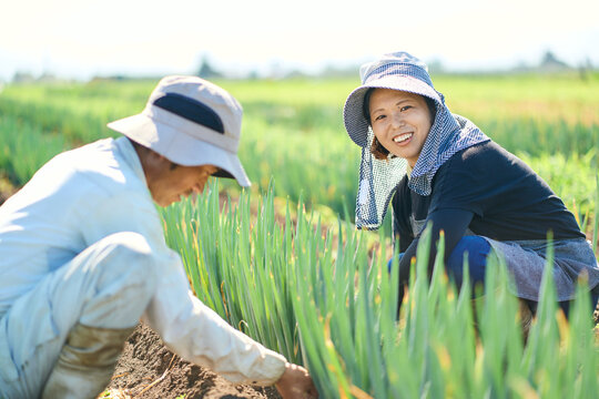 農作業をする日本人の夫婦