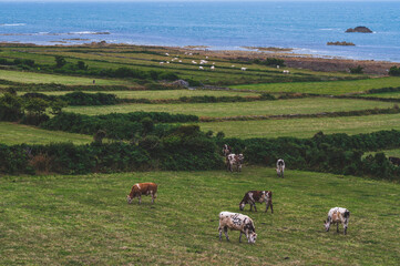 Normandie, 10.08.2023
