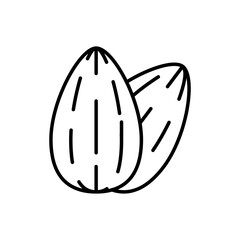 Almond icon in vector. Illustration