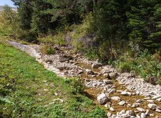 the beginning of autumn in the highlands, alpine meadows with dried vegetation, nature walks, and...