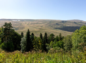 the beginning of autumn in the highlands, alpine meadows with dried vegetation, nature walks, and...