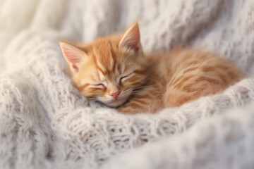 Obraz na płótnie Canvas Cute little ginger kitten sleeps on fur white blanket, soft lightinig