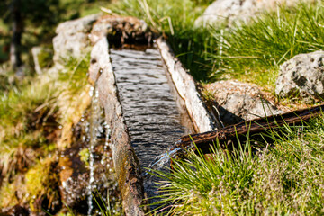 Hohler Baumstamm als Wassertr&auml;nke