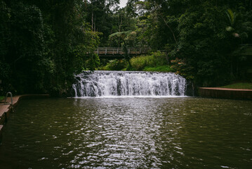 waterfall in the rainforest
