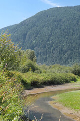 Fototapeta na wymiar Pitt River Dyke near Grant Narrows Regional Park in Pitt Meadows, British Columbia, Canada