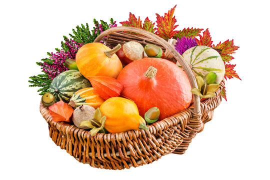 Herbst und bunte Dekoration mit Blumen, Bl&auml;ttern und K&uuml;rbis im Korb    Hintergrund transparent PNG cut out
