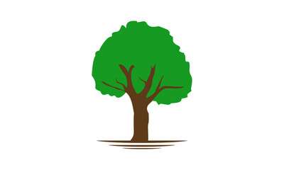 Shady tree illustration vector design